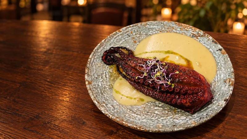 Pulpo de Roca Gallego
